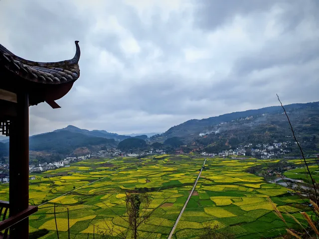 貴陽周邊｜這怎麼不算春天的油畫