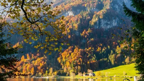 Klöntalersee, a hidden autumn gem just 1.5 hours from Zurich — traveler post in Glarus