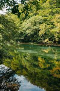 青森奧入瀨溪流+十和田湖一日散步路線