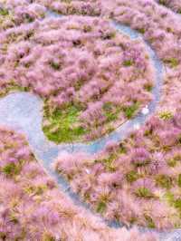 11月的下渚湖，是秋天最治癒的打開方式！