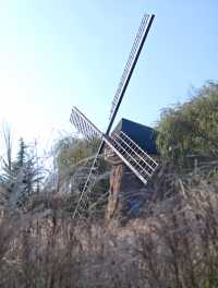 瀋陽世博園秋日漫遊｜治癒系吸氧之旅