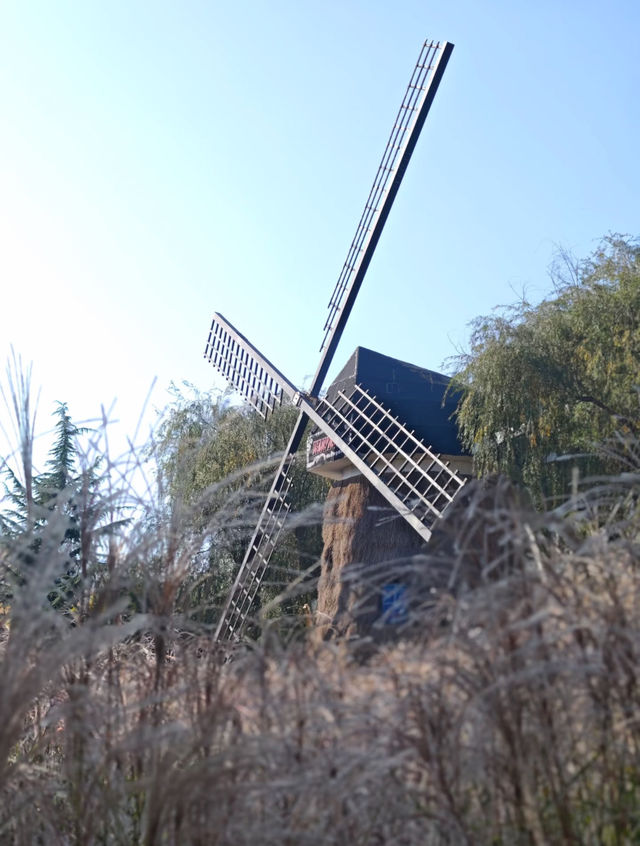 瀋陽世博園秋日漫遊｜治癒系吸氧之旅