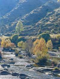 10月川西，赴一場光與金黃的約會