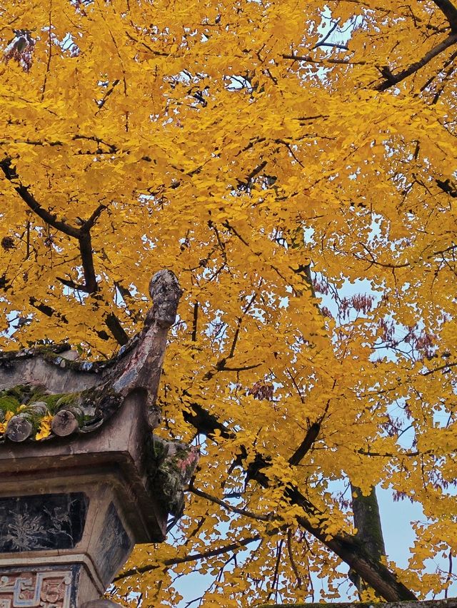 誰說看紅葉一定要去日本？河北這座小三峽美炸了！