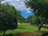 獨享靜謐花海秘境