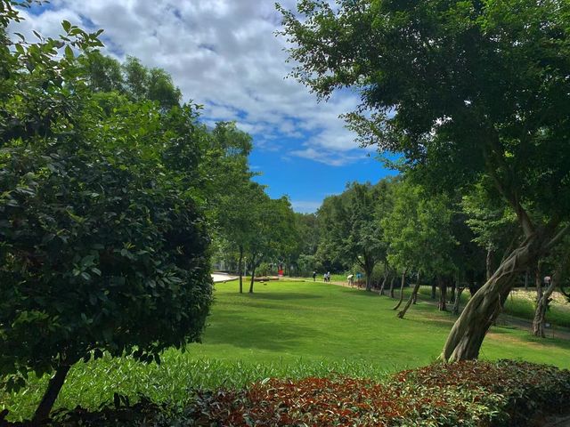 獨享靜謐花海秘境