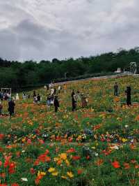 從晨曦到日暮,每一幀都是花漾暴擊