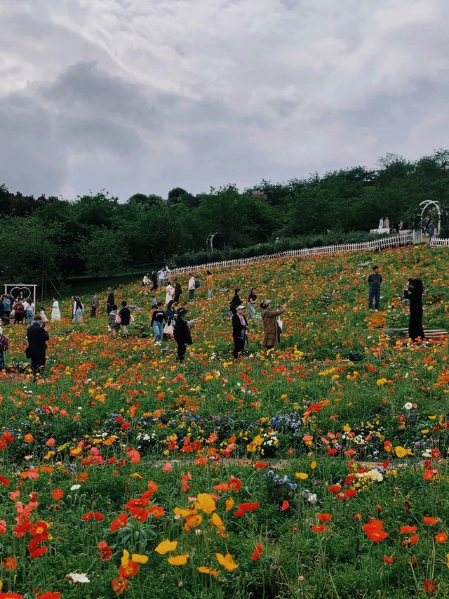 從晨曦到日暮,每一幀都是花漾暴擊 從晨曦到日暮,每一幀都是花漾暴擊