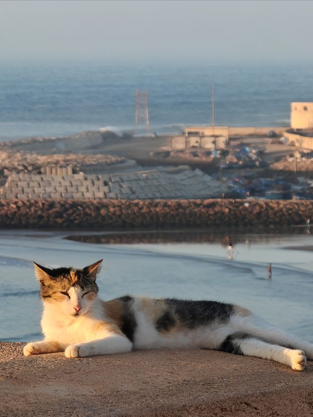 烏達雅堡：日落時分的浪漫