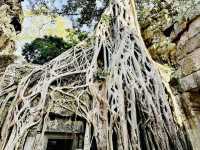 探秘@柬埔寨吳哥窟