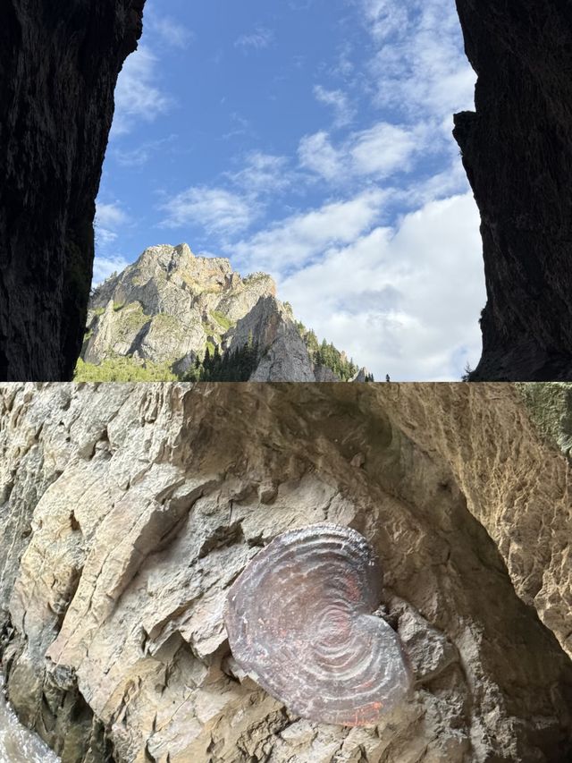 則岔石林,甘南的一顆璀璨明珠,等你來發現 則岔石林,甘南的一顆璀璨明珠,等你來發現