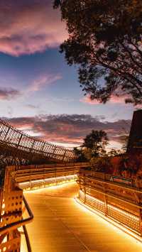 城市森林漫步天花板