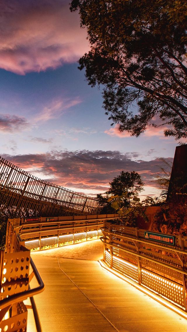 城市森林漫步天花板