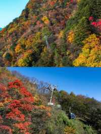 2025光霧山紅葉節，錯過等一年！