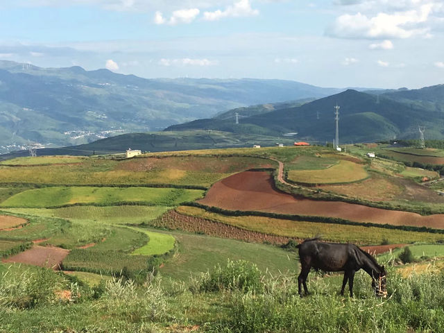 油菜花海徒步攻略