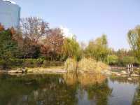 상하이 신홍교센터정원—도심 속 자연과 예술이 어우러진 꿈꾸는 섬