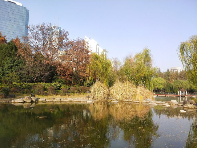 상하이 신홍교센터정원—도심 속 자연과 예술이 어우러진 꿈꾸는 섬 상하이 신홍교센터정원—도심 속 자연과 예술이 어우러진 꿈꾸는 섬