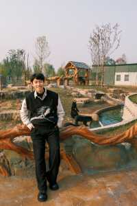 可算有人把宿遷森迪動物園玩明白了全攻略