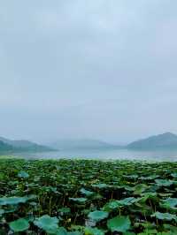 寧波東錢湖2日遊全攻略|本地人私藏路線,美到窒息!