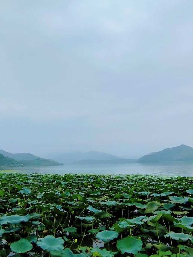 寧波東錢湖2日遊全攻略|本地人私藏路線,美到窒息! 寧波東錢湖2日遊全攻略|本地人私藏路線,美到窒息!