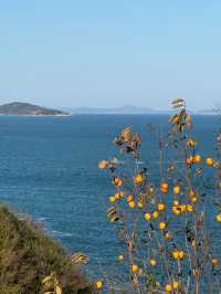 崂山仰口漫遊：一半山海，滿程秋光