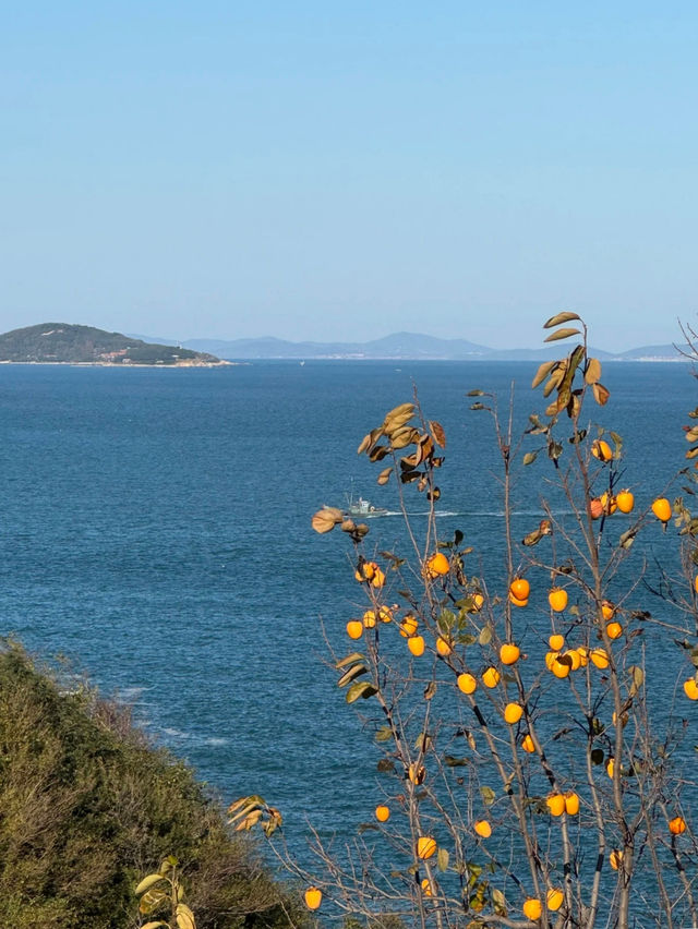 崂山仰口漫遊：一半山海，滿程秋光