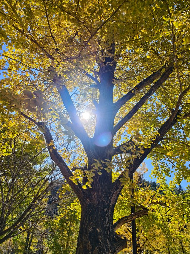 文成安福寺 文成安福寺