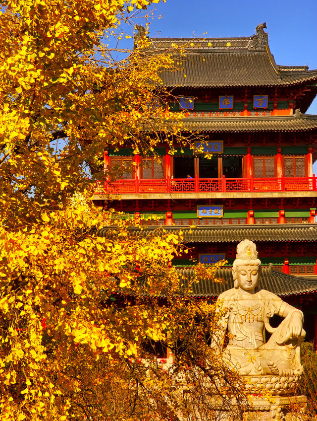 南京丨金陵古寺賞秋必入