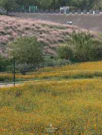 義烏開臣璞瑞&義烏植物園遊玩攻略