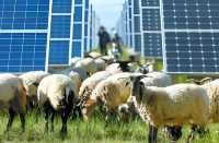 塔拉灘拍大片必看