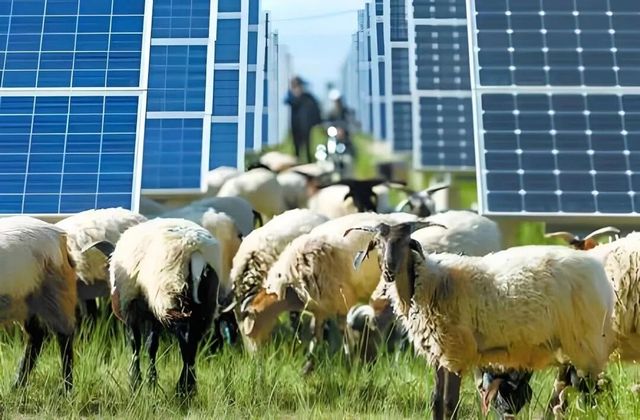 塔拉灘拍大片必看