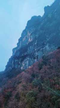 藏在秦巴秘境中的龍頭山也太絕了吧雲海繚繞山峰，有如仙境！這份一日遊攻略趕緊收好～  漢中龍頭山
