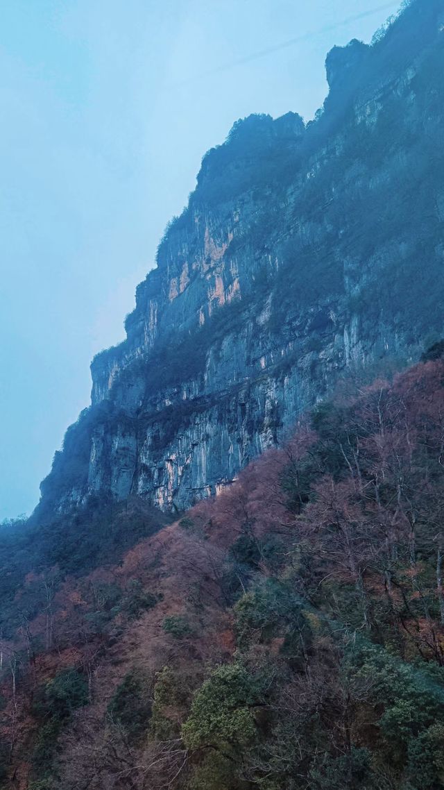 藏在秦巴秘境中的龍頭山也太絕了吧雲海繚繞山峰，有如仙境！這份一日遊攻略趕緊收好～  漢中龍頭山