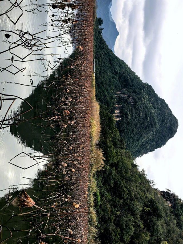 雲南行記:非遺路上邂逅普者黑的山河浪漫 奔赴雲南非遺之約的途中,竟與普者黑撞了個滿懷!這裡的山水 雲南行記:非遺路上邂逅普者黑的山河浪漫 奔赴雲南非遺之約的途中,竟與普者黑撞了個滿懷!這裡的山水