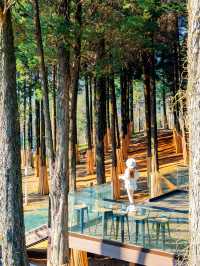 宜興這的秋天 建議去這裡