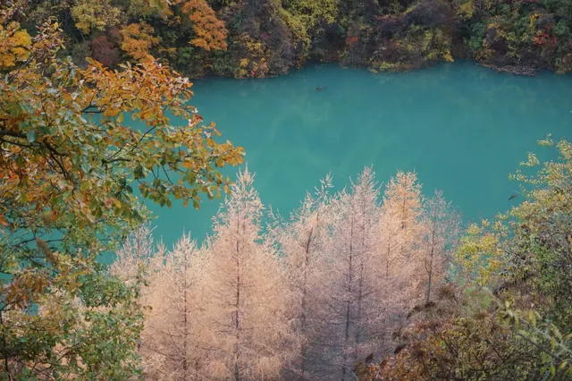 在綿陽發現一處小眾免費看彩林的地方 在綿陽發現一處小眾免費看彩林的地方