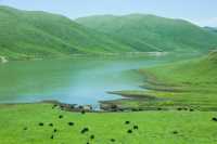 夏日必去甘南草原