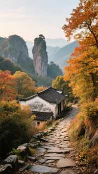 休寧秋日漫遊:尋訪徽州最慵懶的秋天