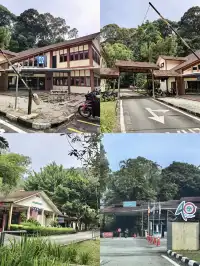 KL半小時逃進世界自然遺產遇見國鳥