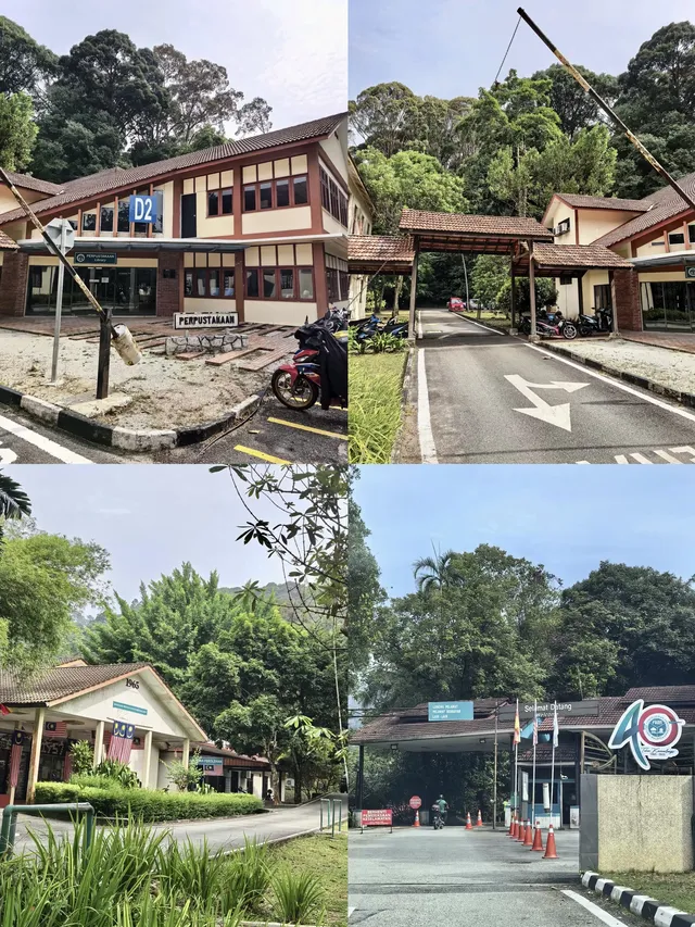 KL半小時逃進世界自然遺產遇見國鳥 KL半小時逃進世界自然遺產遇見國鳥