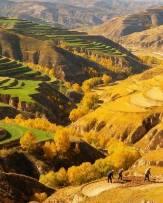 西吉のベビーシッター級攻略で絶景スポットを巡ろう