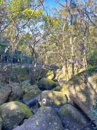 五磊山藏雲溪五磊寺環線賞秋