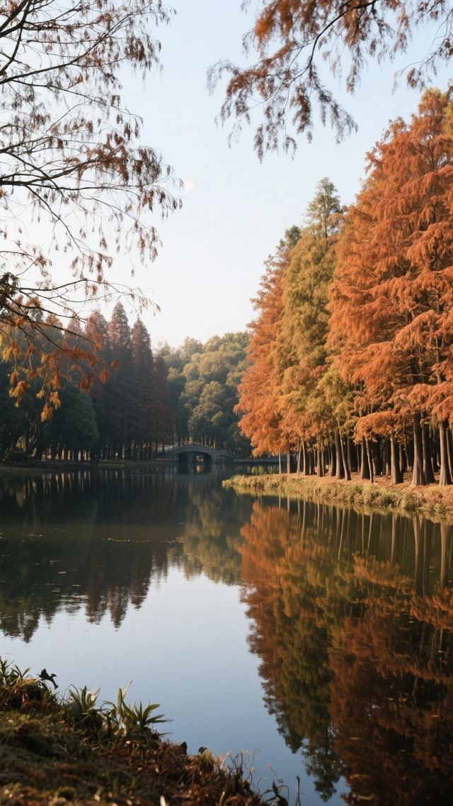 這裡的風景如詩如畫! 這裡的風景如詩如畫!
