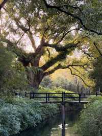 秋色限定江浙滬8個絕美古村落，避開人潮賞秋攻略