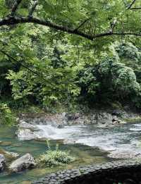 浙南秘境龍灣潭在千米懸空棧道看絕美飛瀑