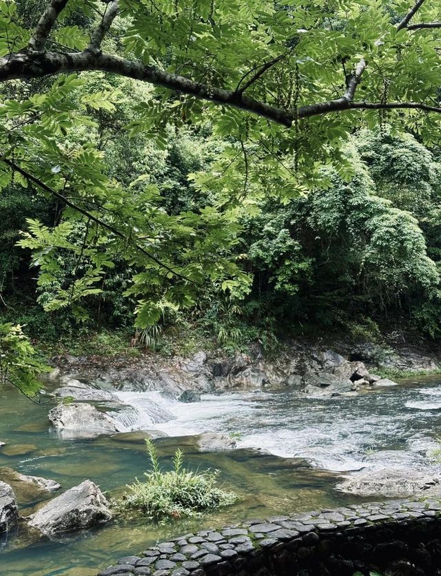浙南秘境龍灣潭在千米懸空棧道看絕美飛瀑 浙南秘境龍灣潭在千米懸空棧道看絕美飛瀑