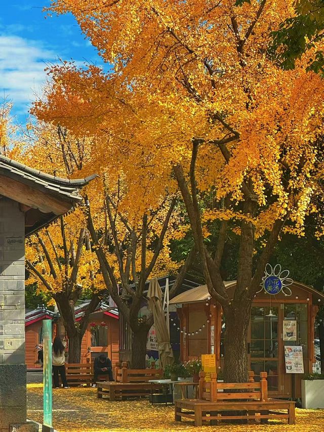 麗江半月慢居手記：尋一處偏愛，赴一場暖陽