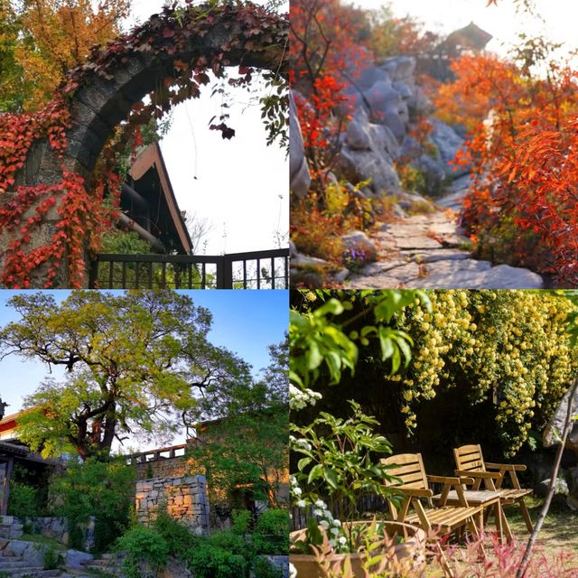 這家民宿被問爆了住一次就瘋狂心動