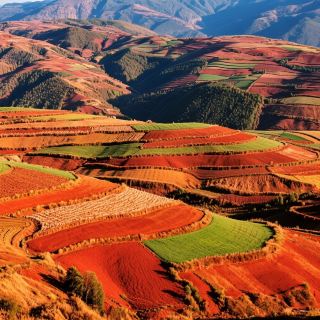 Yunnan Dongchuan Red Land: A Journey Through God's Secret Palette