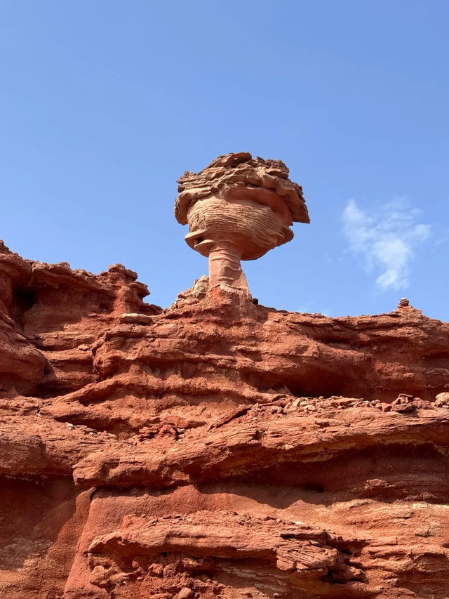 高鐵開通前衝!烏海這顆西北遺珠,沙海共生美到窒息 高鐵開通前衝!烏海這顆西北遺珠,沙海共生美到窒息